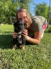 Welpen-2024JG_UPLOAD_IMAGENAME_SEPARATOR4