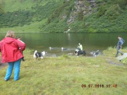 planneralm_2016_3_20170403_1839520461