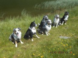 planneralm_2016_4_20170403_1741093823